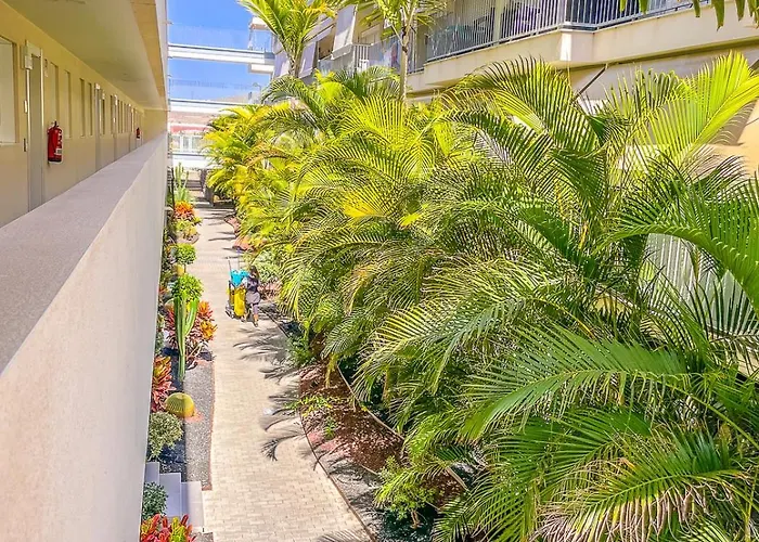 Lägenhet La Barquita *